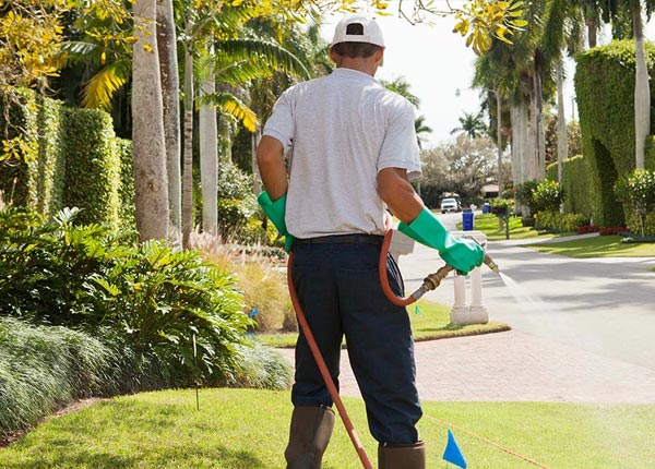 About Gratz PA Pest Control